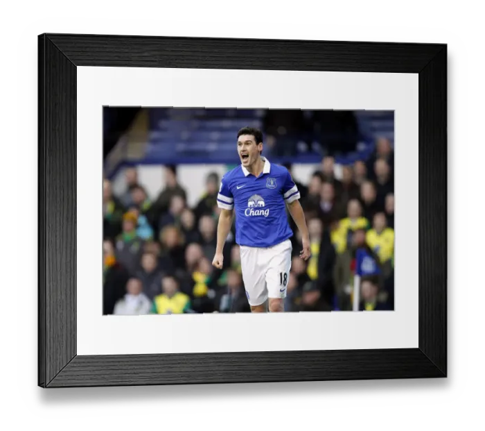 Framed Print : Gareth Barry's Strike: Everton Takes the Lead Against Norwich City (11-01-2014)