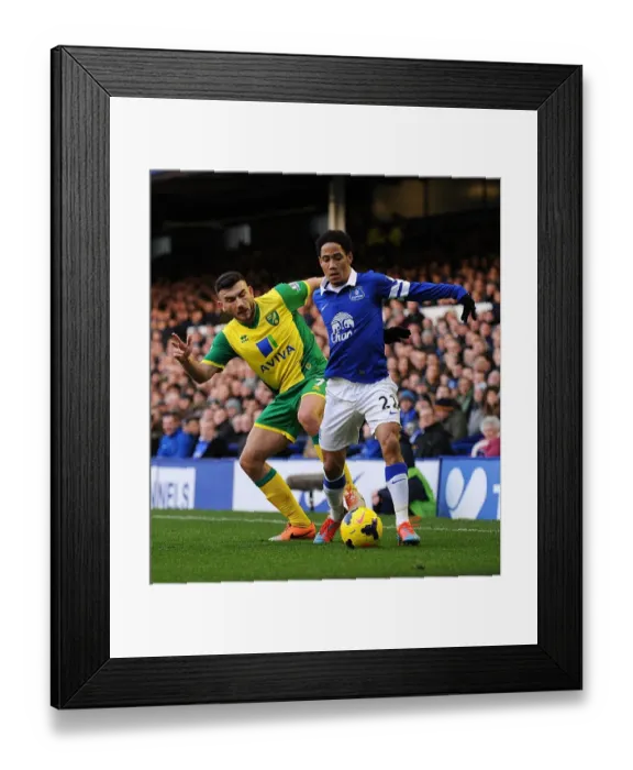 Framed Print : Steven Pienaar vs. Robert Snodgrass: A Battle for Supremacy in Everton's 2-0 Victory over Norwich City (January 11, 2014, Goodison Park)