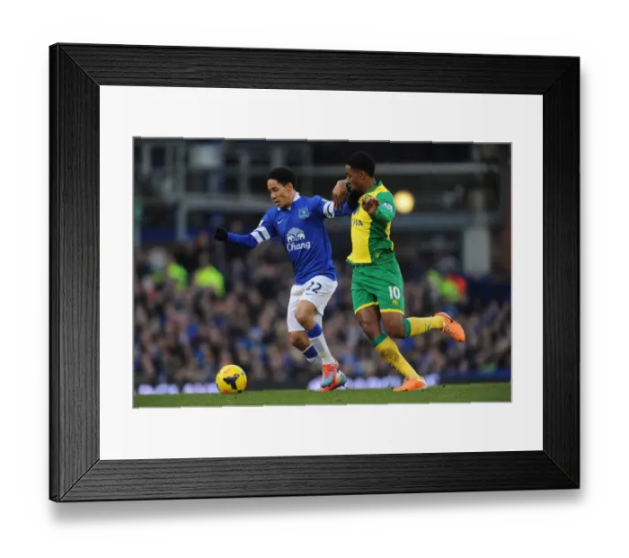 Framed Print : Battle for the Ball: Fer vs. Pienaar in Everton's Victory over Norwich City (Everton 2 - Norwich City 0, Barclays Premier League, Goodison Park) Framed Print : Battle for the Ball: Fer vs. Pienaar in Everton's Victory over Norwich City (Everton 2 - Norwich City 0, Barclays Premier League, Goodison Park)