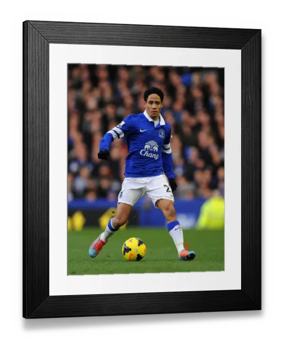 Framed Print : Steven Pienaar's Brilliant Performance: Everton's 2-0 Victory Over Norwich City (BPL, Goodison Park, 11-01-2014)