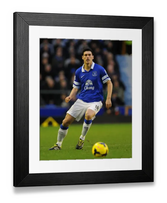 Framed Print : Everton's Gareth Barry Shines: 2-0 Victory Over Norwich City (January 11, 2014, Goodison Park)