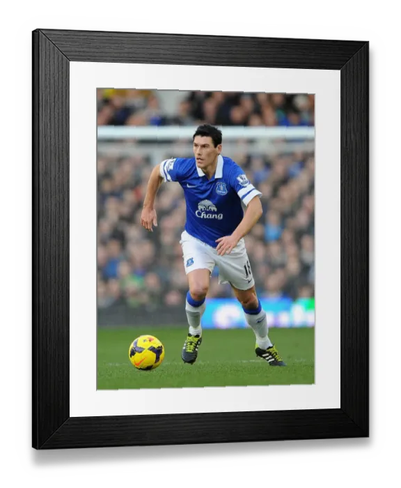 Framed Print : Gareth Barry's Brilliant Performance: Everton's 2-0 Victory Over Norwich City (Barclays Premier League, 11-01-2014)
