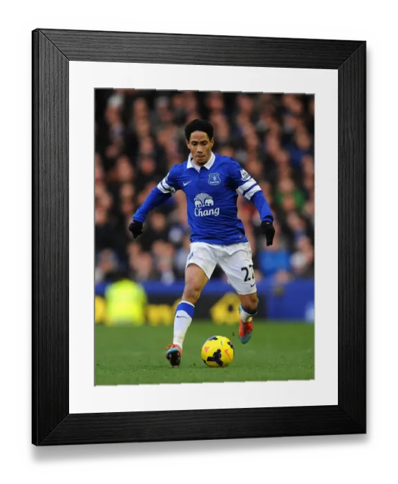 Framed Print : Steven Pienaar's Brilliant Display: Everton's 2-0 Win Over Norwich City (BPL 2013-14, Goodison Park)