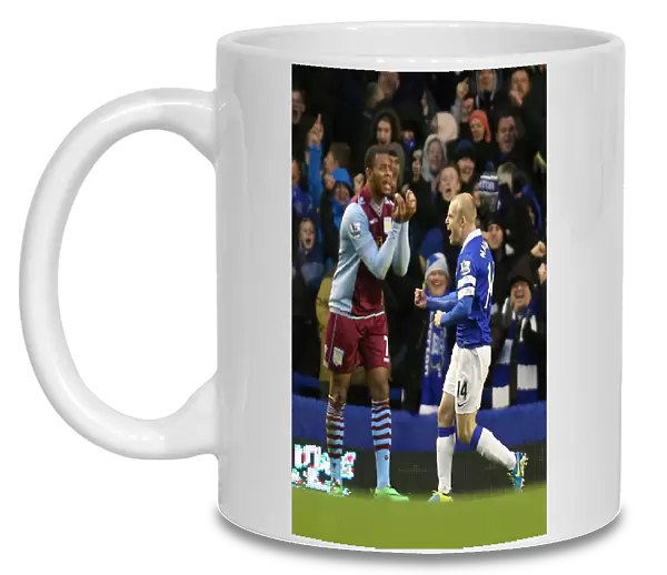 Naismith's Stunner: Everton's First Goal in BPL Win Against Aston Villa (01-02-2014)