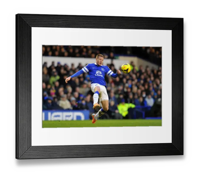 Framed Print : James McCarthy's Stunner: Everton's Thrilling 2-1 Victory Over Aston Villa (01-02-2014) Framed Print : James McCarthy's Stunner: Everton's Thrilling 2-1 Victory Over Aston Villa (01-02-2014)