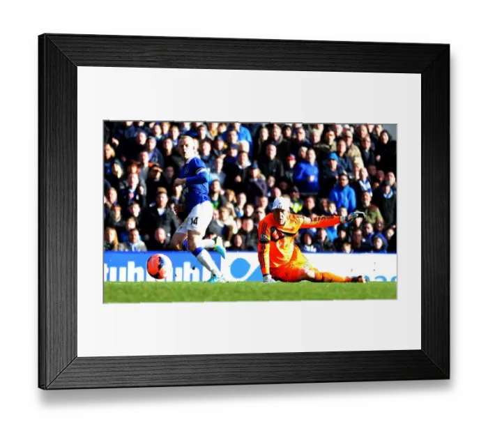 Framed Print : Steven Naismith's Thrilling Third Goal: Everton's 5-1 FA Cup Victory over Swansea City (February 16, 2014, Goodison Park) Framed Print : Steven Naismith's Thrilling Third Goal: Everton's 5-1 FA Cup Victory over Swansea City (February 16, 2014, Goodison Park)