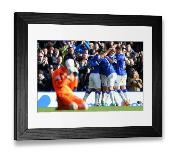 Framed Print : Steven Naismith's FA Cup Goal: Everton's Triumph Over Swansea City (16-02-2014) Framed Print : Steven Naismith's FA Cup Goal: Everton's Triumph Over Swansea City (16-02-2014)