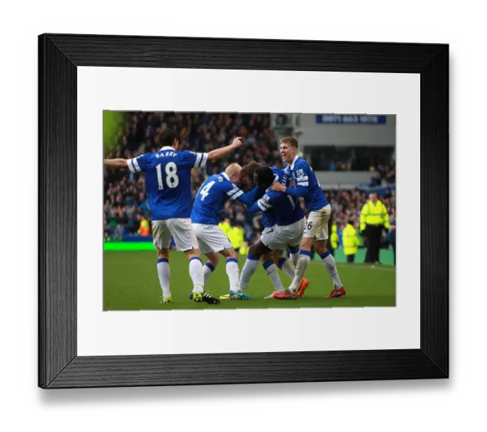 Framed Print : Seamus Coleman's Double: Everton Edge Past Cardiff 2-1 (Goodison Park, 15-03-2014) Framed Print : Seamus Coleman's Double: Everton Edge Past Cardiff 2-1 (Goodison Park, 15-03-2014)
