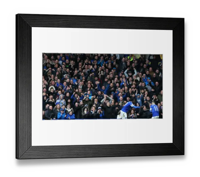 Framed Print : Everton's Lukaku and Mirallas in Unison: Celebrating Goals Against Swansea City at Goodison Park (22-03-2014) Framed Print : Everton's Lukaku and Mirallas in Unison: Celebrating Goals Against Swansea City at Goodison Park (22-03-2014)