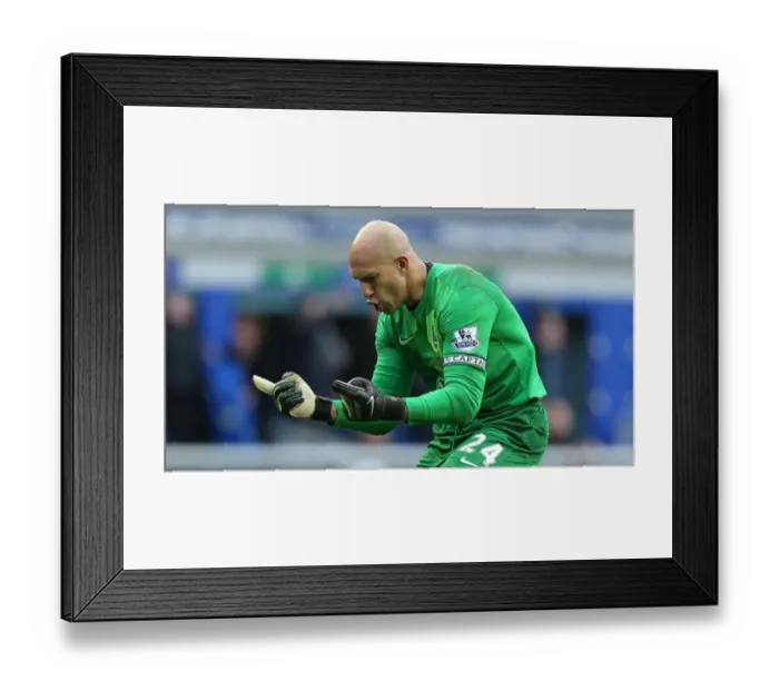 Framed Print : Tim Howard's Triumph: Everton's Epic Comeback Against Swansea City (3-2, Barclays Premier League, Goodison Park, 22-03-2014) Framed Print : Tim Howard's Triumph: Everton's Epic Comeback Against Swansea City (3-2, Barclays Premier League, Goodison Park, 22-03-2014)