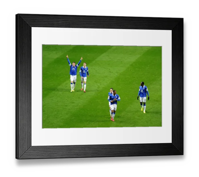 Framed Print : Ross Barkley's Strike: Everton's Triumph over Newcastle United (25-03-2014) Framed Print : Ross Barkley's Strike: Everton's Triumph over Newcastle United (25-03-2014)