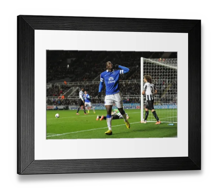 Framed Print : Romelu Lukaku's Double: Everton Crushes Newcastle United 3-0 (Barclays Premier League, St. James Park, March 25, 2014) Framed Print : Romelu Lukaku's Double: Everton Crushes Newcastle United 3-0 (Barclays Premier League, St. James Park, March 25, 2014)
