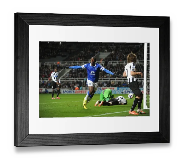 Framed Print : Everton's Lukaku Scores Brace: Crushing 3-0 Win Over Newcastle United (Premier League, St. James Park, 25-03-2014) Framed Print : Everton's Lukaku Scores Brace: Crushing 3-0 Win Over Newcastle United (Premier League, St. James Park, 25-03-2014)