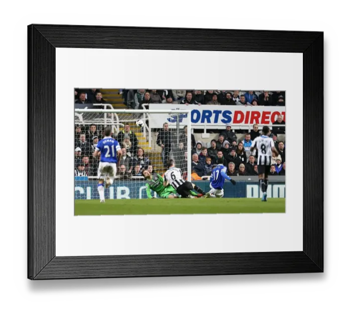 Framed Print : Lukaku's Double: Everton's 3-0 Crushing Victory Over Newcastle United (25-03-2014) Framed Print : Lukaku's Double: Everton's 3-0 Crushing Victory Over Newcastle United (25-03-2014)