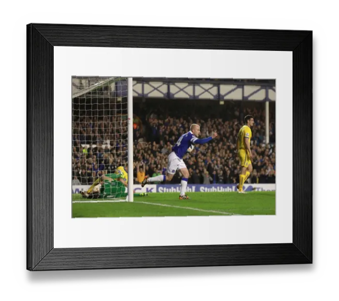 Framed Print : Naismith's Strike: Everton vs. Crystal Palace in BPL - Everton 2-3 (16-04-2014)