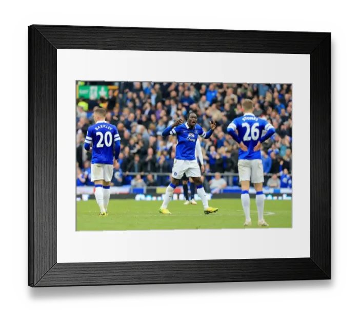 Framed Print : Lukaku's Double in Premier League Thriller: Everton vs Manchester City (3-5-2014) Framed Print : Lukaku's Double in Premier League Thriller: Everton vs Manchester City (3-5-2014)
