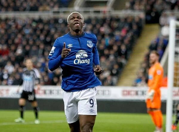 Arouna Kone's Thrilling Goal Celebration: Everton's First Victory Strike Against Newcastle United in Barclays Premier League