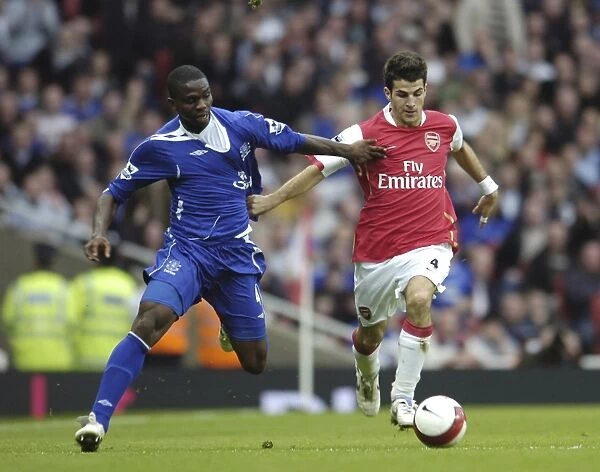 Arsenal v Everton Arsenals Francesc Fabregas and Evertons Joseph Yobo in action