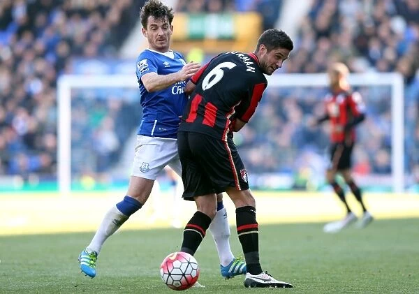 Baines vs. Surman: Intense Battle for Ball Possession - Everton vs. AFC Bournemouth, Barclays Premier League, Goodison Park
