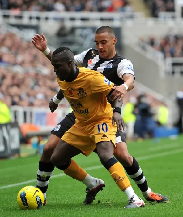 Framed Print : Barclays Premier League - Newcastle United v Everton - St James Park Framed Print : Barclays Premier League - Newcastle United v Everton - St James Park