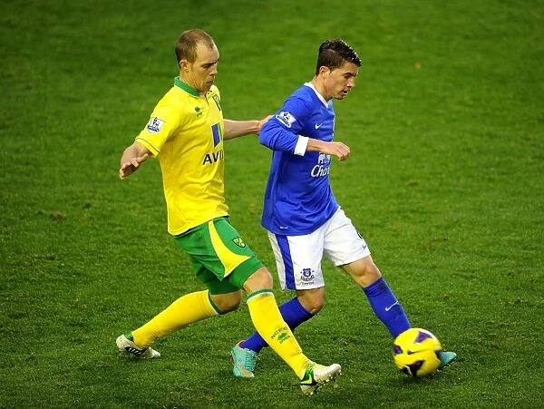 Battle at Goodison Park: Everton vs. Norwich City - A Premier League Stalemate (November 24, 2012)