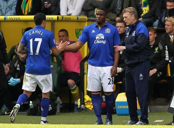 David Moyes Gives Instructions as Anichebe Replaces Cahill: Everton FC vs. Norwich City, Barclays Premier League (07 April 2012)
