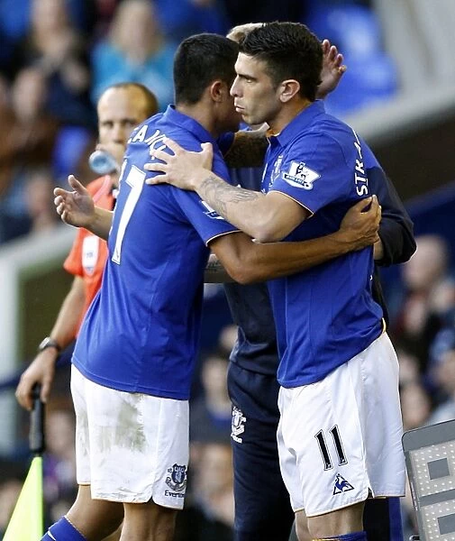 Denis Stracqualursi Debuts for Everton: Replacing Tim Cahill Against Wigan Athletic