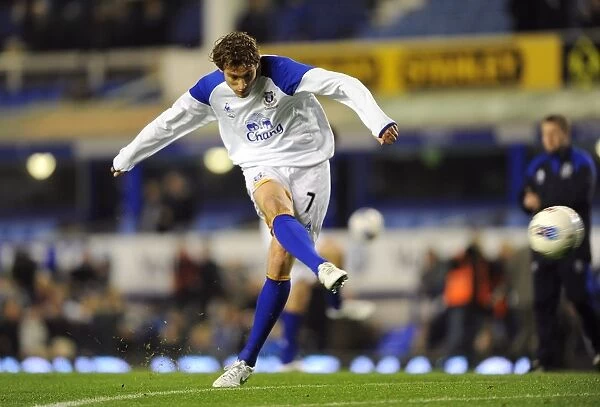 Dramatic Last-Minute Victory: Everton's Jelavic Scores the Winner Against Arsenal (BPL 2012)