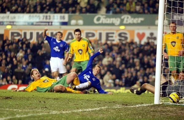 Everton 1 Norwich 0 02-02-05