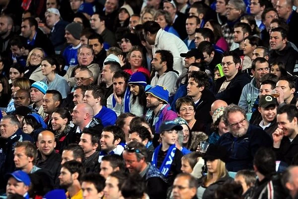 Everton FC Fans Embrace the Electric Atmosphere at ANZ Stadium during Sydney FC Pre-Season Friendly