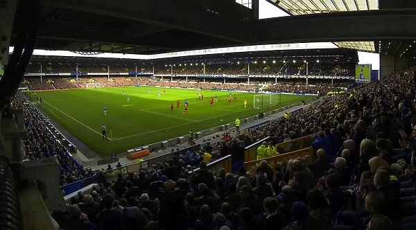 Everton vs. Cardiff City: Barclays Premier League Clash at Goodison Park - Everton Lead 2-1