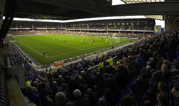Everton vs. Cardiff City: A Battle in the Premier League at Goodison Park (15-03-2014): Everton Takes a 2-1 Victory
