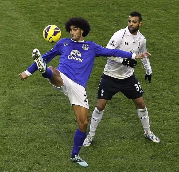Everton vs. Tottenham Hotspur: Sandro vs. Fellaini's Intense Battle in the Premier League (Everton 2-1)