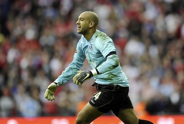 Everton's FA Cup Triumph: Tim Howard's Victory over Manchester United (04 / 19 / 09)