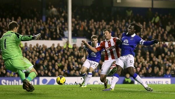 Everton's Romelu Lukaku Scores Brace in 4-0 Crush of Stoke City (30-11-2013)