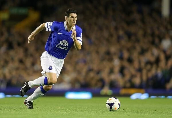 Gareth Barry Scores the Winning Goal: Everton's 3-2 Triumph over Newcastle United at Goodison Park (BPL 2013)