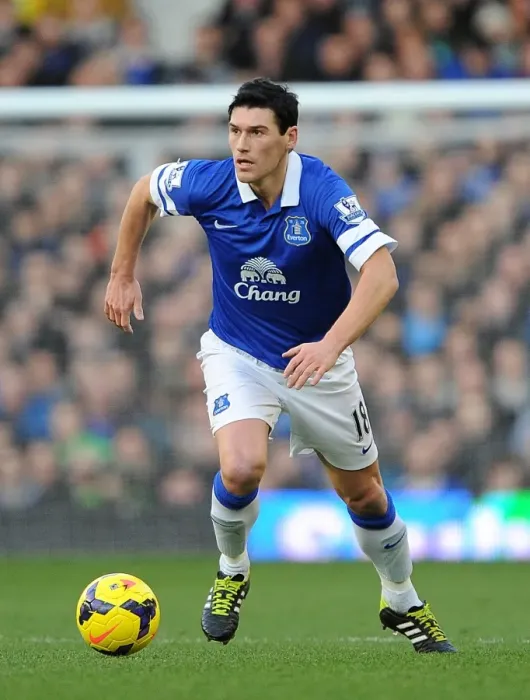 Framed Print : Gareth Barry's Brilliant Performance: Everton's 2-0 Victory Over Norwich City (Barclays Premier League, 11-01-2014)