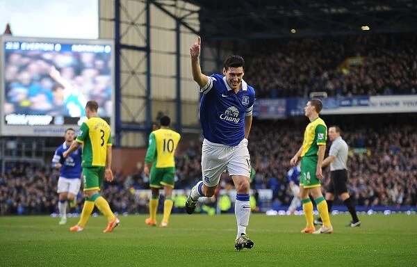Gareth Barry's Opener: Everton's Victory Over Norwich City (11-01-2014)
