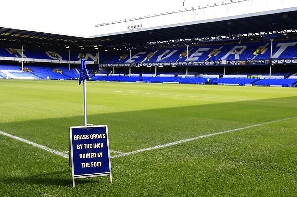 Goodison Park. General view of the pitch at Goodison Park prior to kick-off