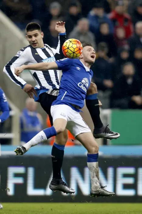 Framed Print : Intense Rivalry: Mitrovic vs. Cleverley Battle for Ball in Newcastle United vs. Everton Premier League Clash