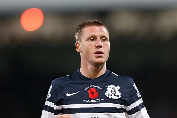 James McCarthy in Action: Crystal Palace vs Everton (09-11-2013)