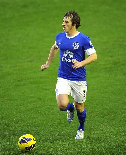 Leighton Baines Rallies Everton: A Hard-Fought Draw Against Norwich City at Goodison Park (24-11-2012)