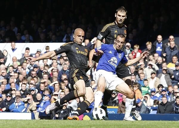 Leon Osman Stands Firm: Intense Battle Between Everton's Osman and Chelsea's Alex and Ivanovic (22 May 2011)