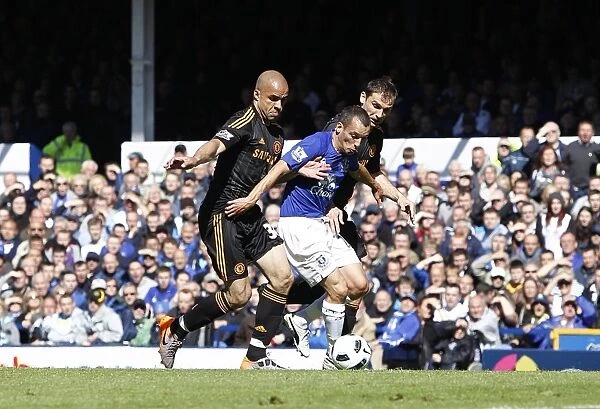 Leon Osman's Defiant Stand: Everton vs. Chelsea's Alex and Ivanovic in Intense Barclays Premier League Showdown (May 2011)