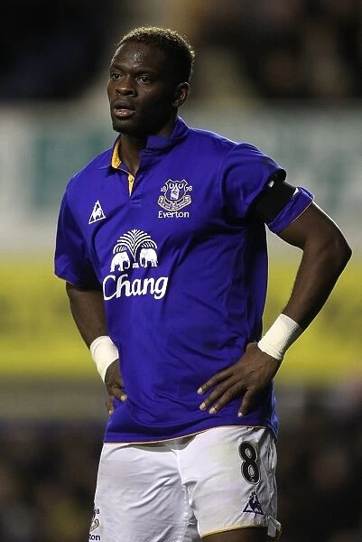 Louis Saha's Stunner: The Game-Winning Goal for Everton Against Bolton Wanderers (04.01.2012, Goodison Park)