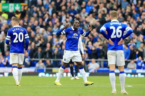 Lukaku's Double in Premier League Thriller: Everton vs Manchester City (3-5-2014)