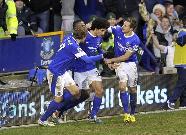 Marouane Fellaini's Thrilling Hat-Trick: Everton vs. Aston Villa Ends in 3-3 Draw (Goodison Park, 02-02-2013)