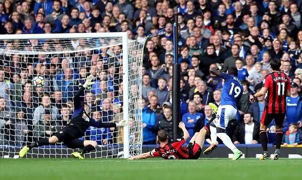 Oumar Niasse Scores First Goal for Everton against AFC Bournemouth at Goodison Park