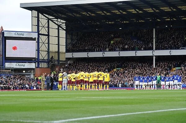 Remembrance Day Tribute: Everton vs. Arsenal - A Minute's Silence at Goodison Park (November 14, 2010, Premier League Soccer Match)