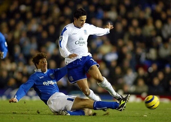 Tim Cahill is tackled